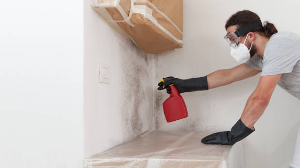 Professional Bathroom Mold Removal technician working in Fruitport, MI