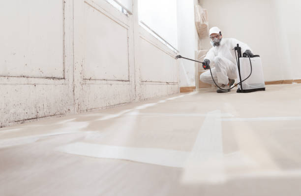 24/7 Emergency Bathroom Mold Removal experts in Fruitport, MI